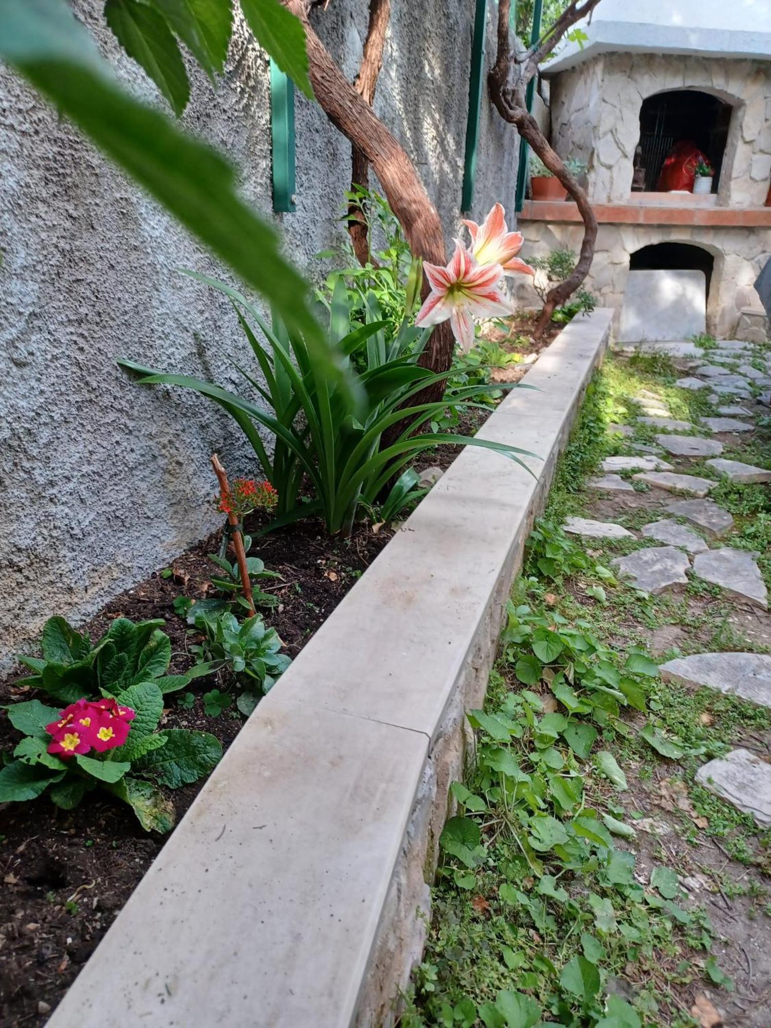 Apartment Franicevic Split Zewnętrze zdjęcie